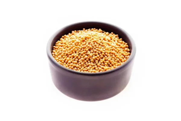 hirchycja_bila_optimized Гірчиця біла