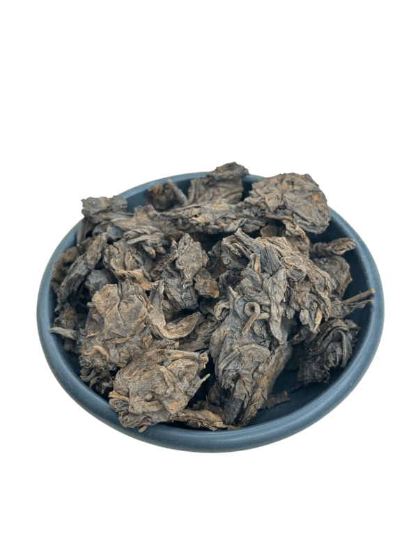 dikij_puer
